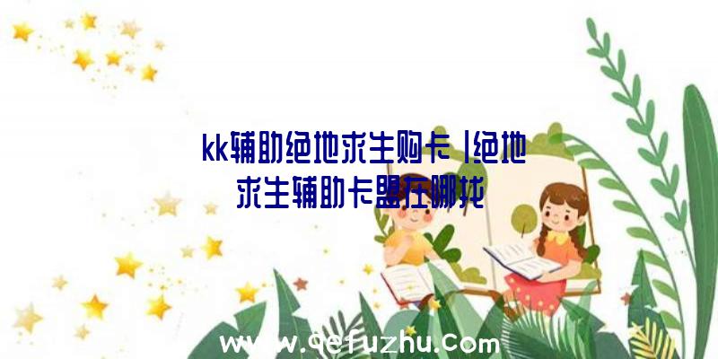 「kk辅助绝地求生购卡」|绝地求生辅助卡盟在哪找